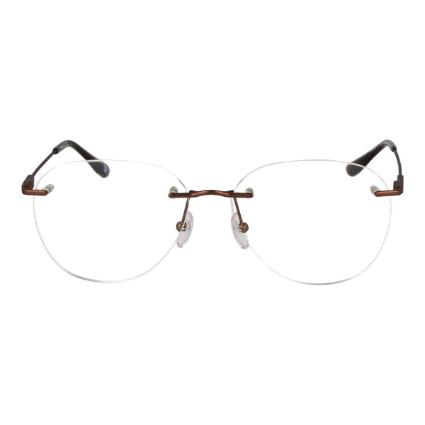BMW Bronze Titanium Glasses (Frames)